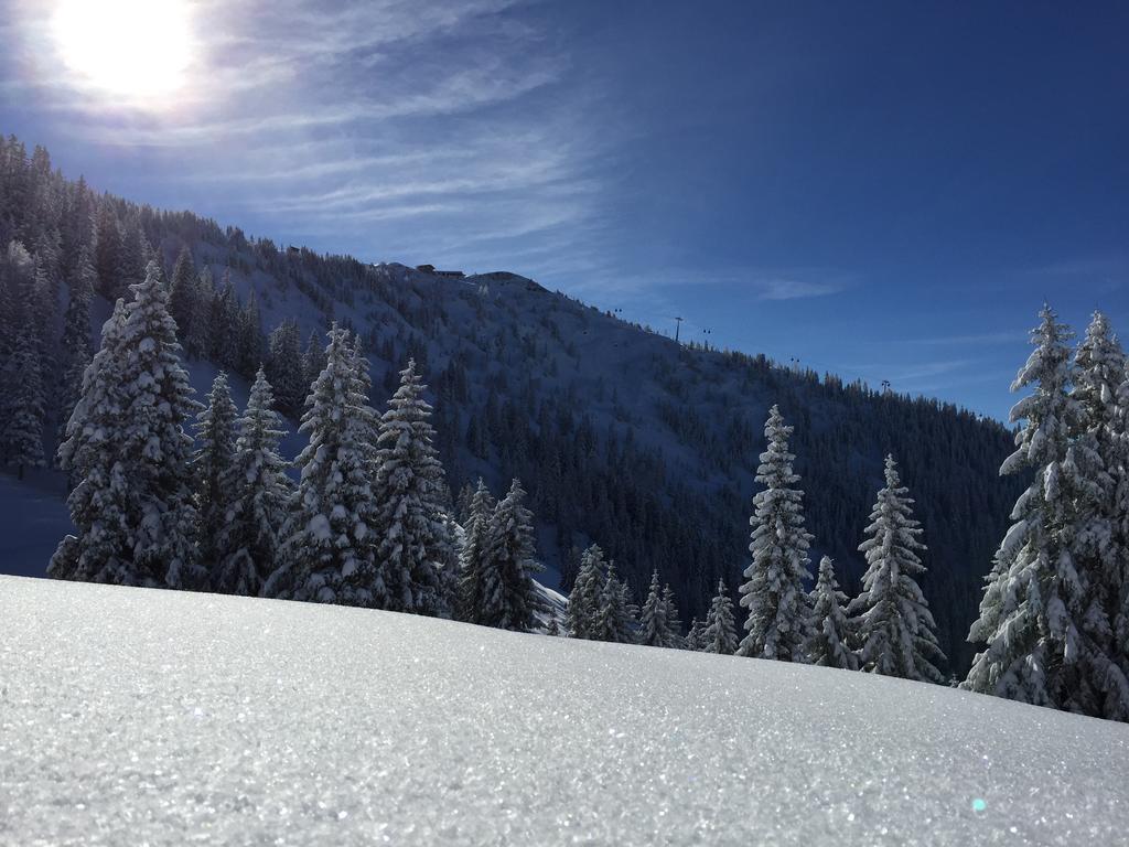 Das Juwel Reith Reith im Alpbachtal Ngoại thất bức ảnh