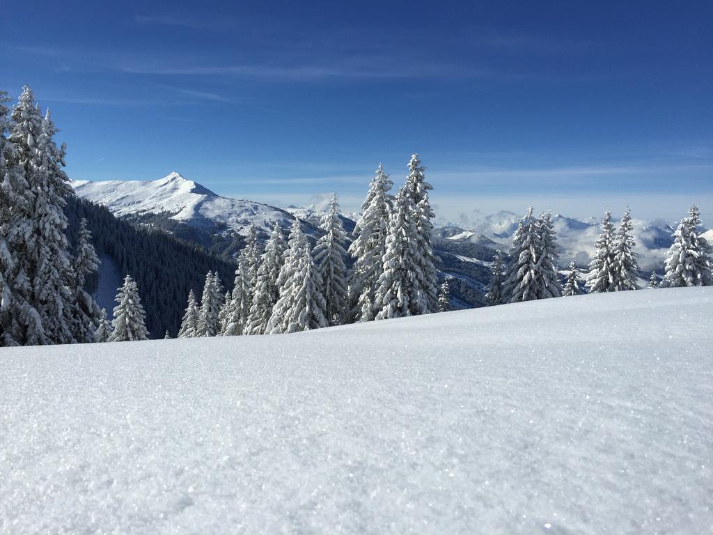 Das Juwel Reith Reith im Alpbachtal Ngoại thất bức ảnh