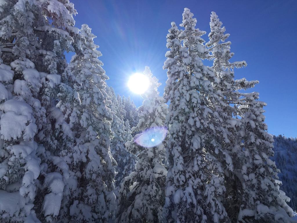 Das Juwel Reith Reith im Alpbachtal Ngoại thất bức ảnh